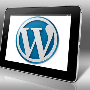 5 Things We Like About WordPress Websites